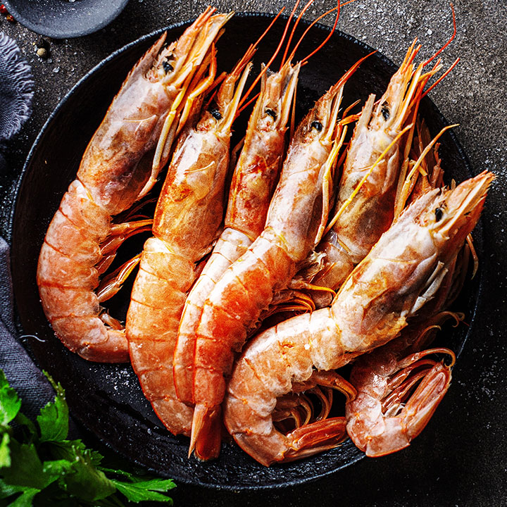 Red-Sea-shrimp3